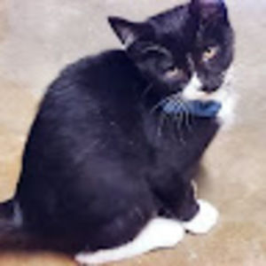 Meet your Posher, S.